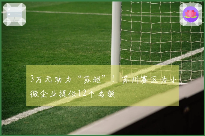 3万元助力“苏超”！苏州赛区为小微企业提供12个名额