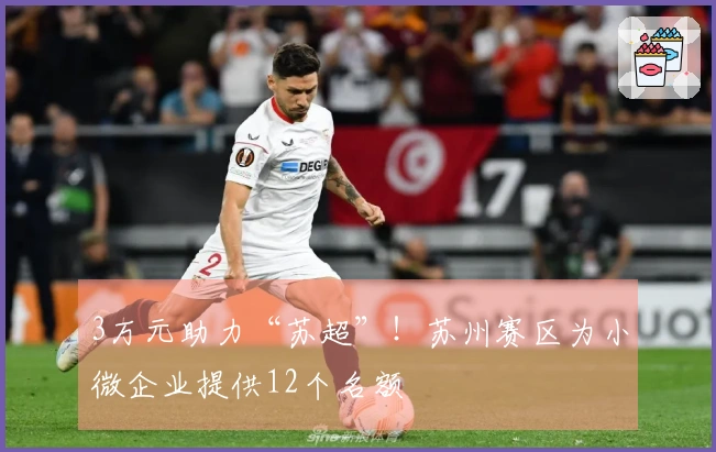 3万元助力“苏超”！苏州赛区为小微企业提供12个名额